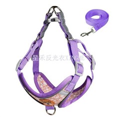 Reflektierender Sicherheitsgurt für Hunde